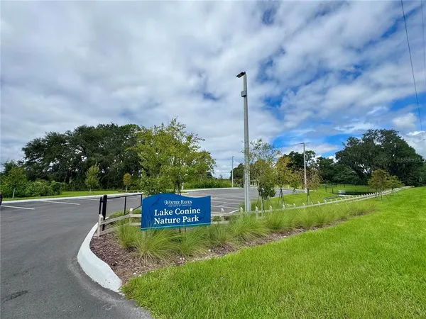 a view of a park with large trees