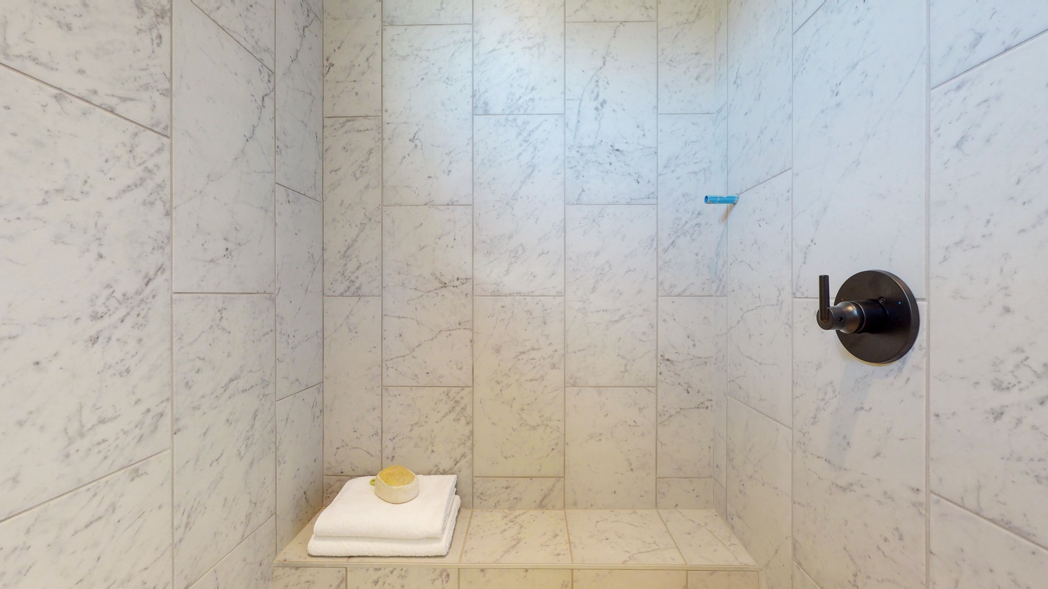 6720 Lane Road College Grove, TN 37046 - Photo 24 of 49 a bathroom with a shower