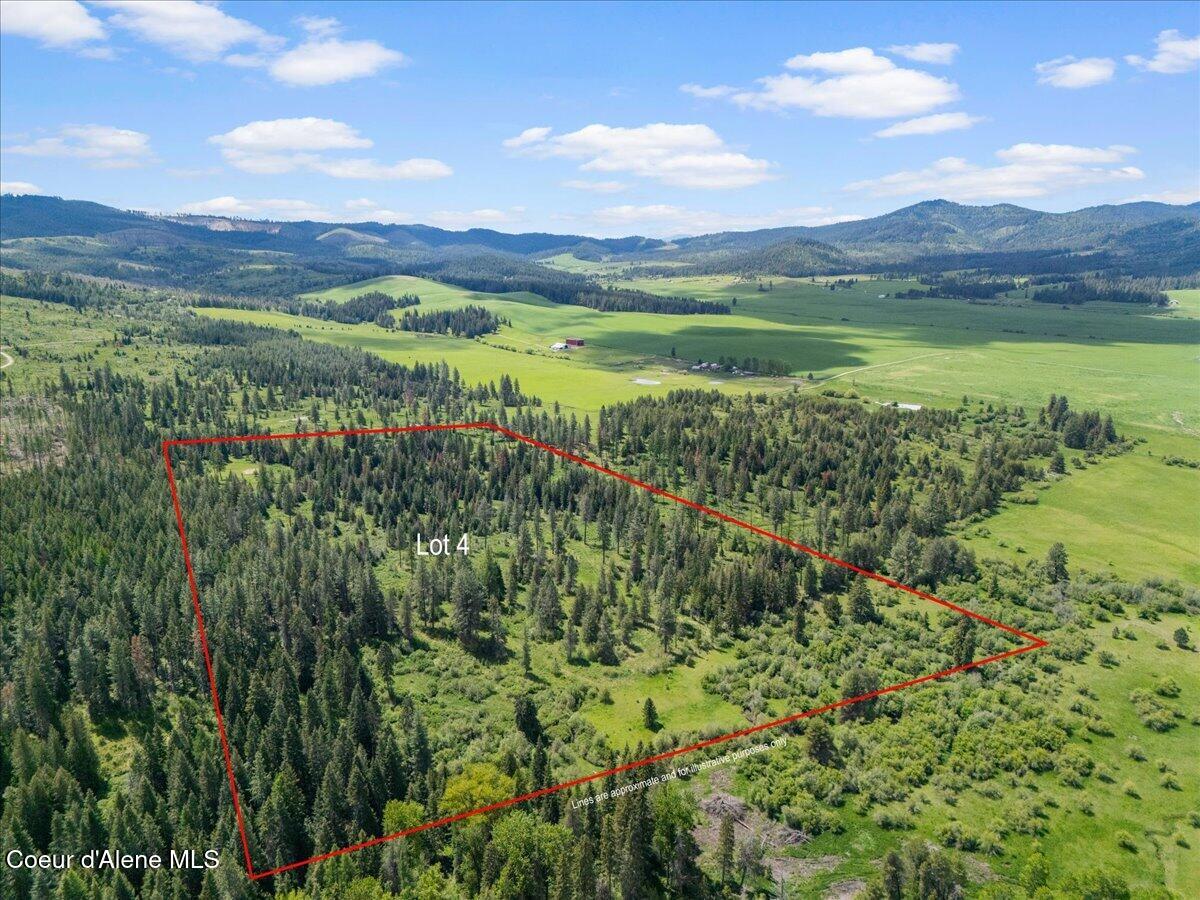 572 Foote Road Desmet, ID 83824 - Photo 9 of 38 Parcel 6