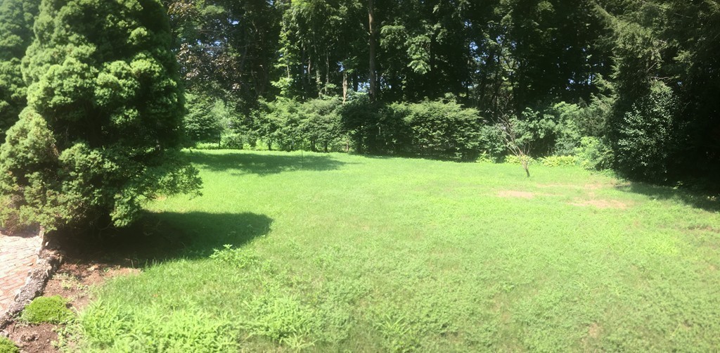 17 Wildon Road Wellesley, MA 02482 - Photo 22 of 24