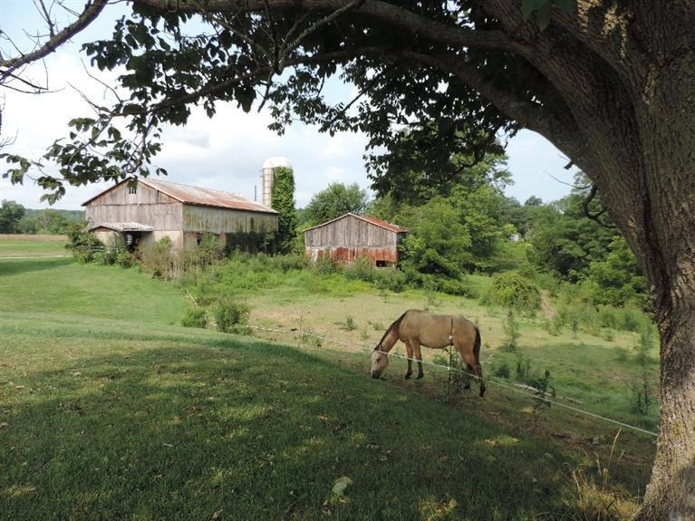 9592 Indian Trace Road Alexandria, KY 41001 - Photo 28 of 30 Gallery Image 28