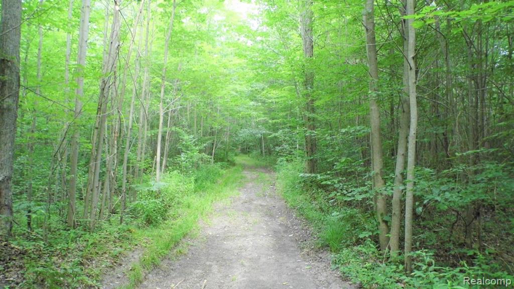 0 South Murray Road Caro, MI 48723 - Photo 1 of 14