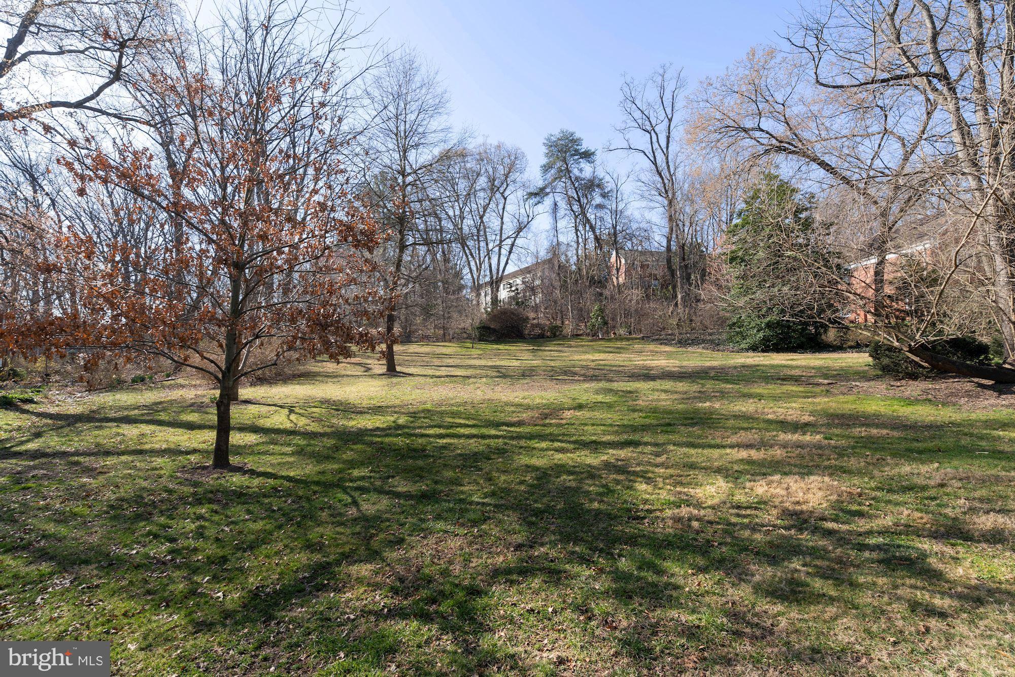 1700 Preston Road Alexandria, VA 22302 - Photo 29 of 33 View from Back Door