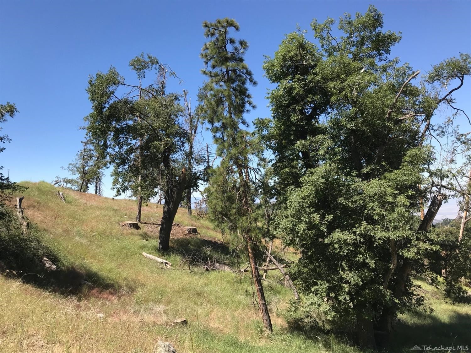 29640 Goldspike Road Tehachapi, CA 93561 - Photo 2 of 9 Gallery Image 2
