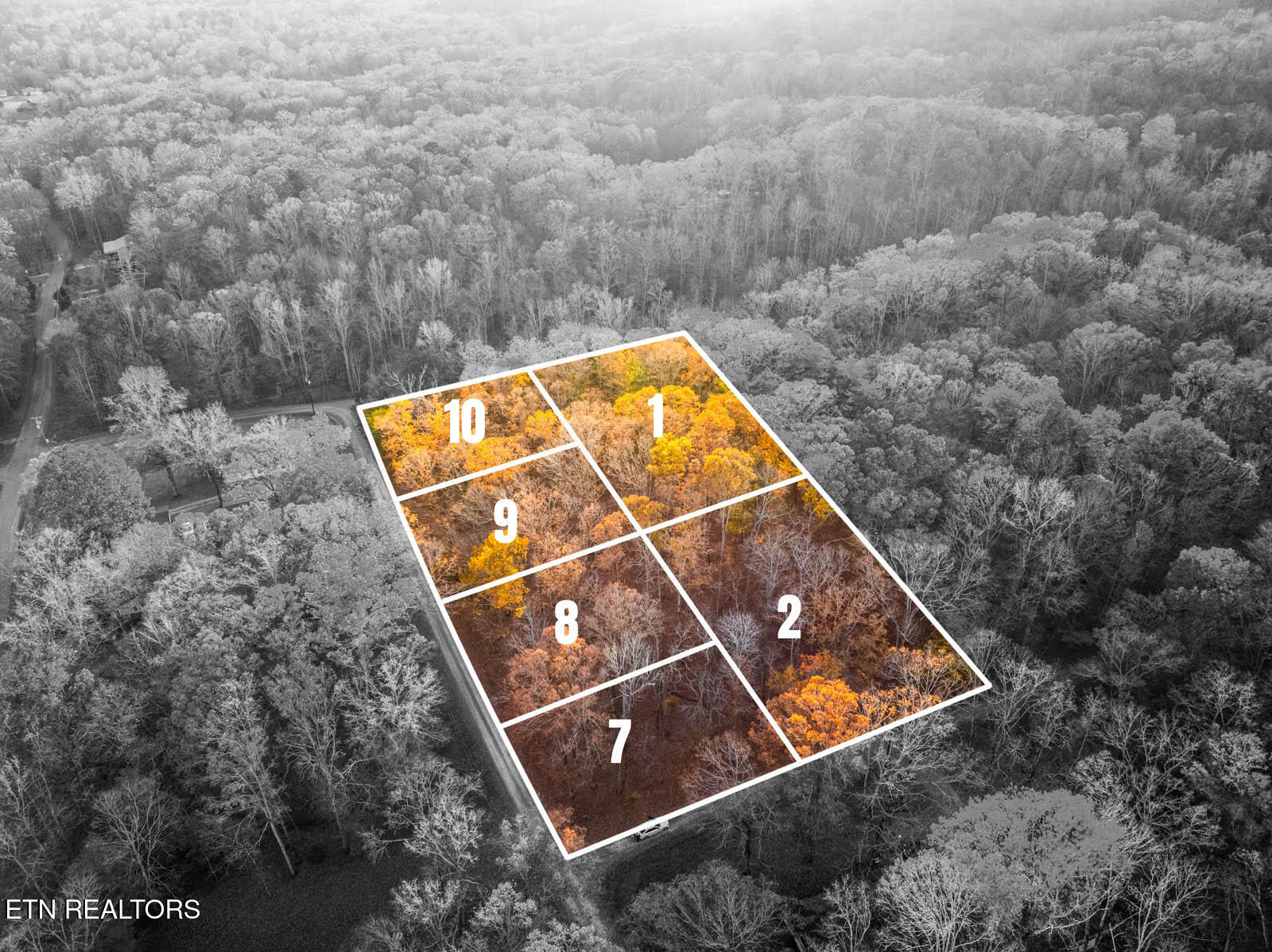 Lakeville Dr Spring Spring City, TN 37381 - Photo 13 of 32 10_1