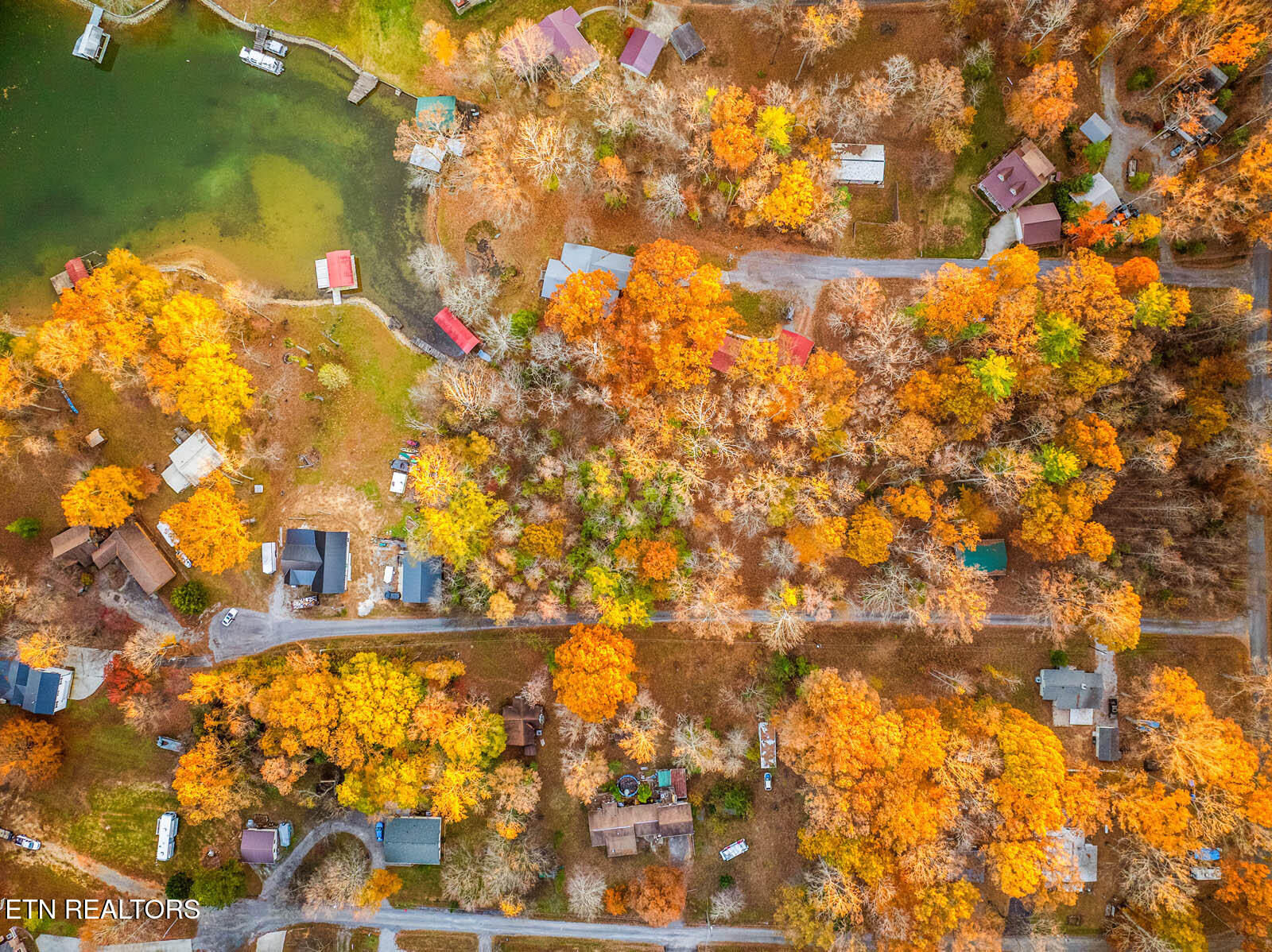 Lakeville Dr Spring Spring City, TN 37381 - Photo 25 of 32 19