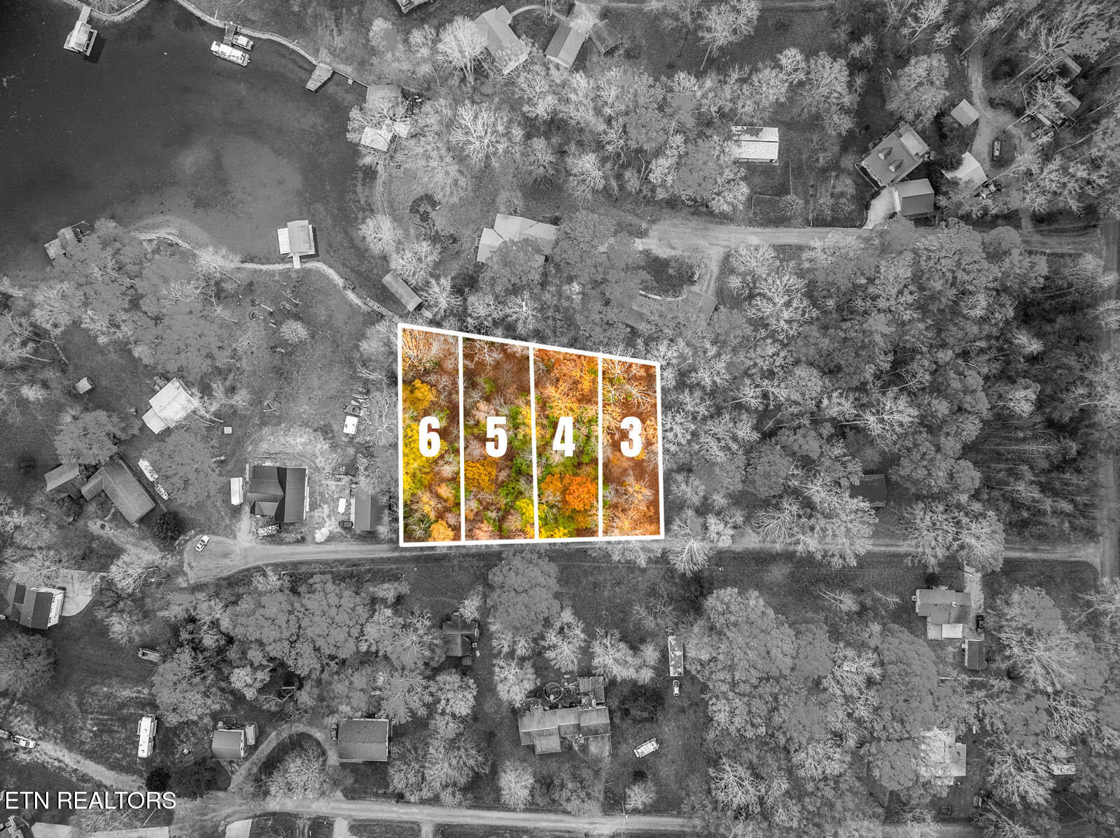 Lakeville Dr Spring Spring City, TN 37381 - Photo 26 of 32 19_1