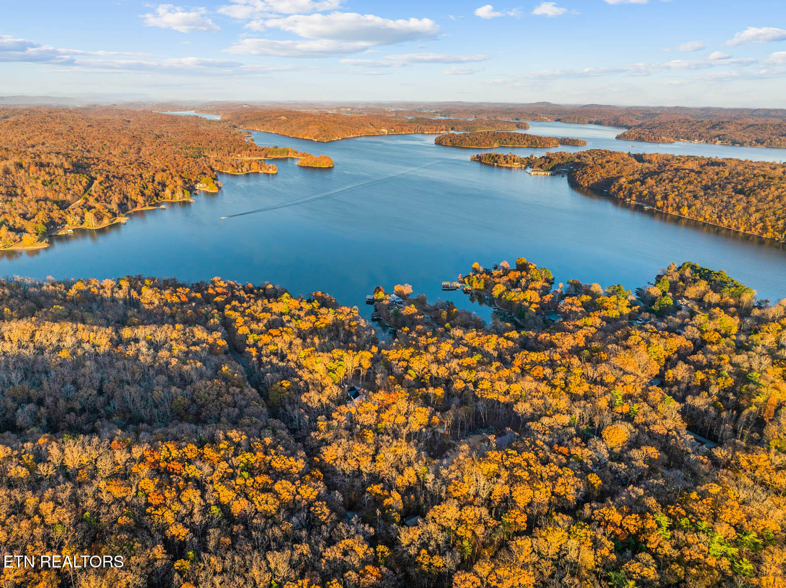 Lakeville Dr Spring Spring City, TN 37381 - Photo 4 of 32 4
