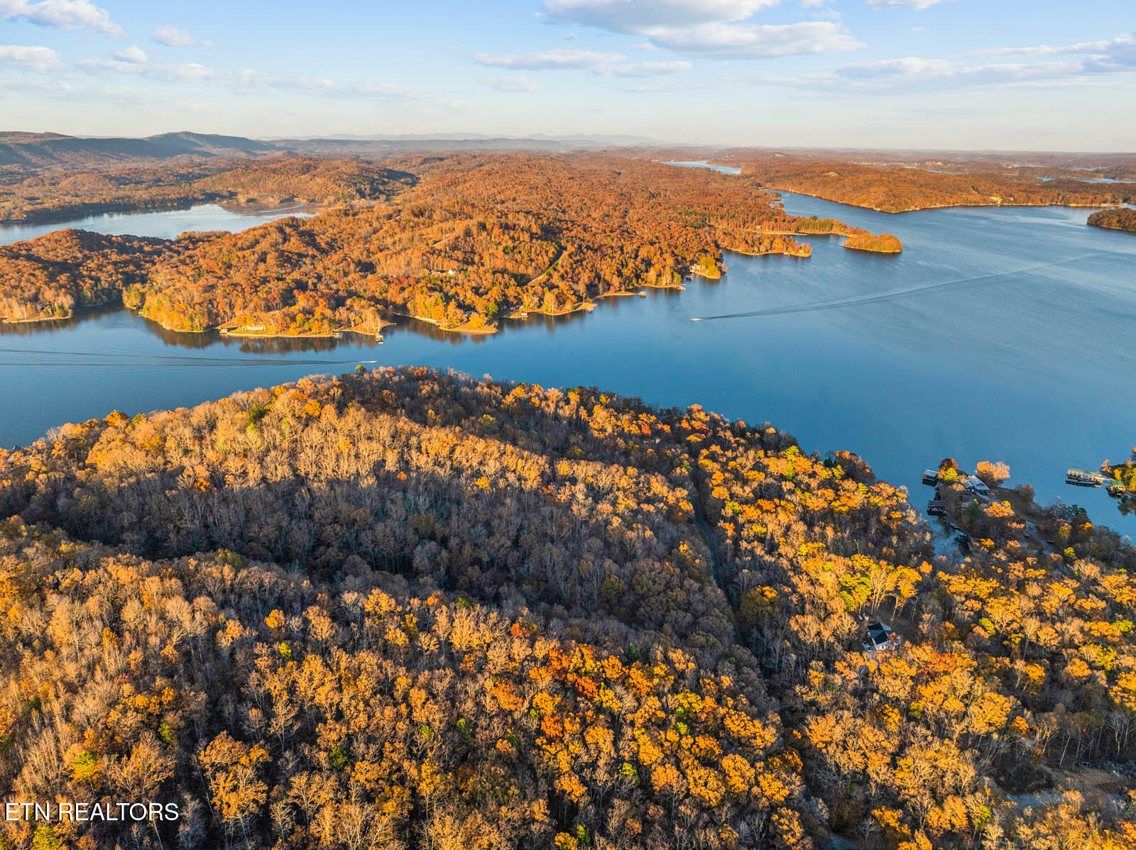Lakeville Dr Spring Spring City, TN 37381 - Photo 5 of 32 5