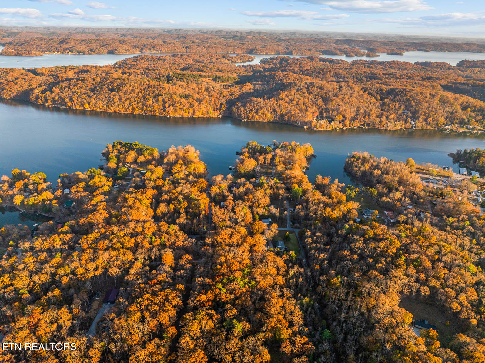 Lakeville Dr Spring Spring City, TN 37381 - Photo 6 of 32 6