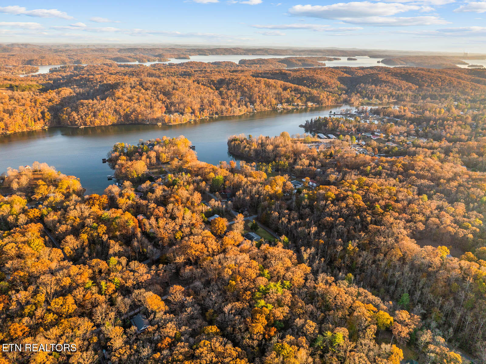 Lakeville Dr Spring Spring City, TN 37381 - Photo 7 of 32 7