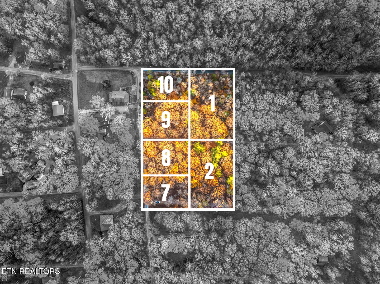 Lakeville Dr Spring Spring City, TN 37381 - Photo 9 of 32 8_1