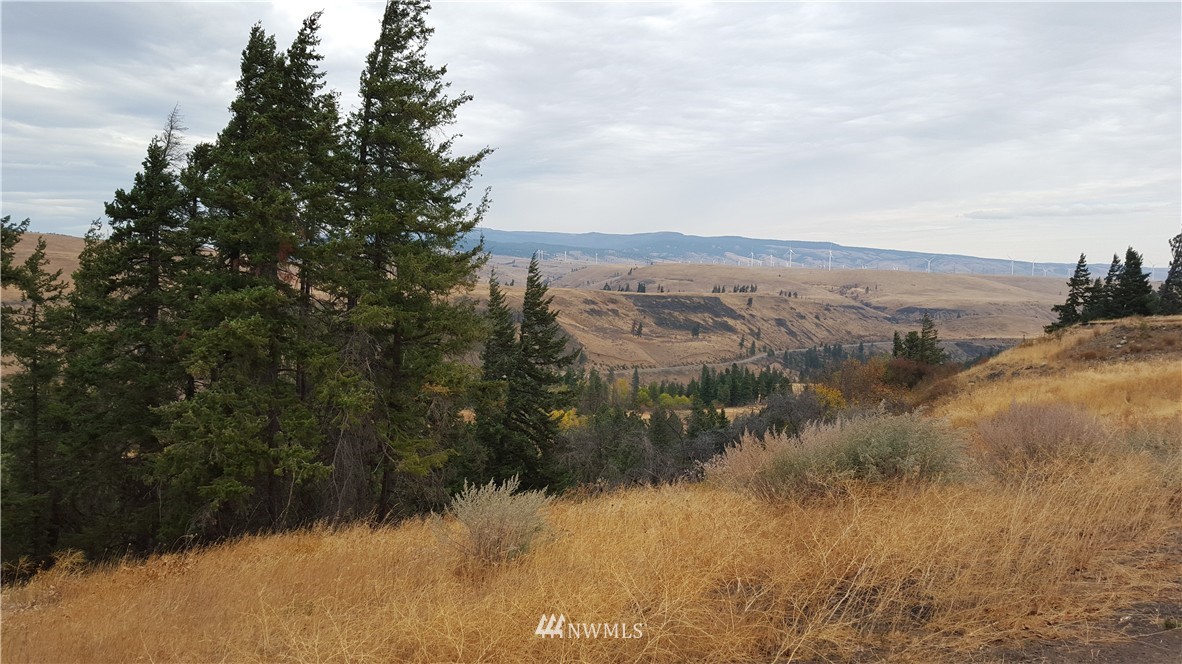 361 Highline Loop Cle Elum, WA 98922 - Photo 3 of 10 Gallery Image 3