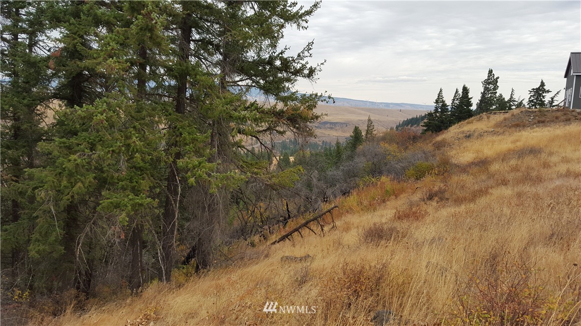 361 Highline Loop Cle Elum, WA 98922 - Photo 5 of 10 Gallery Image 5