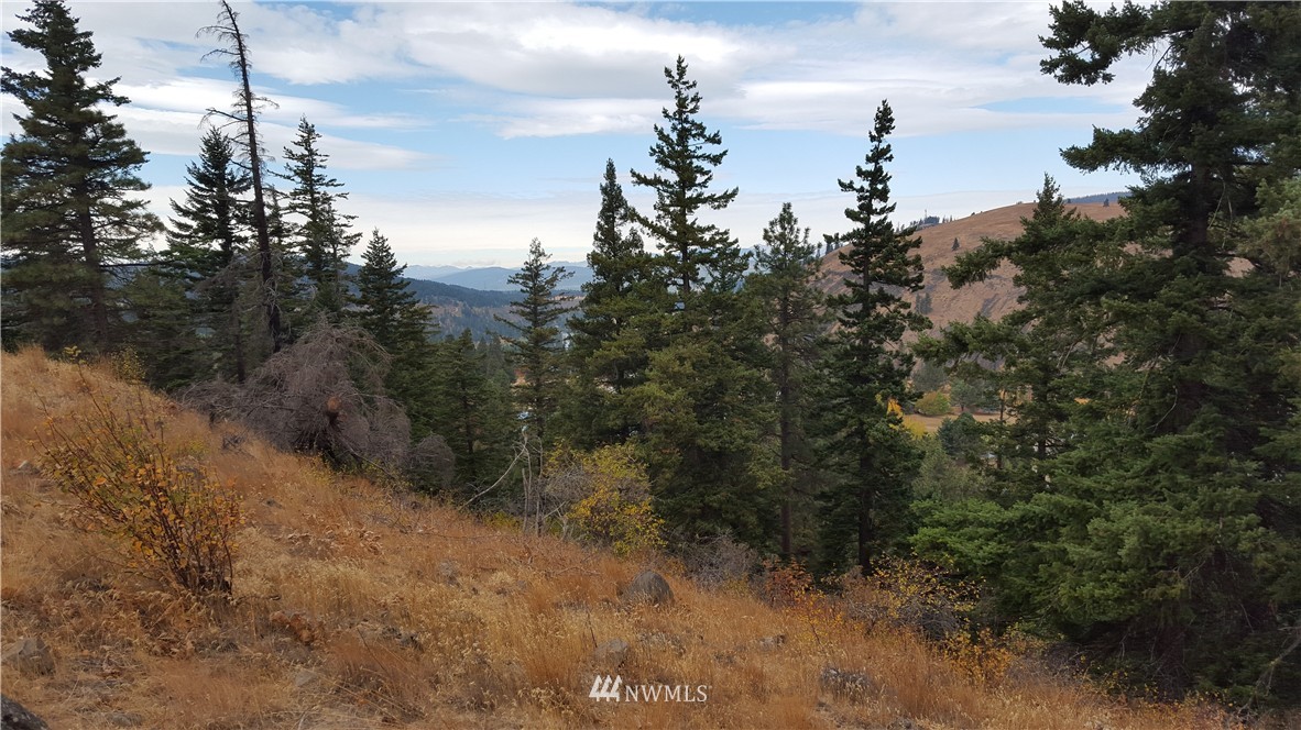 361 Highline Loop Cle Elum, WA 98922 - Photo 6 of 10 Gallery Image 6