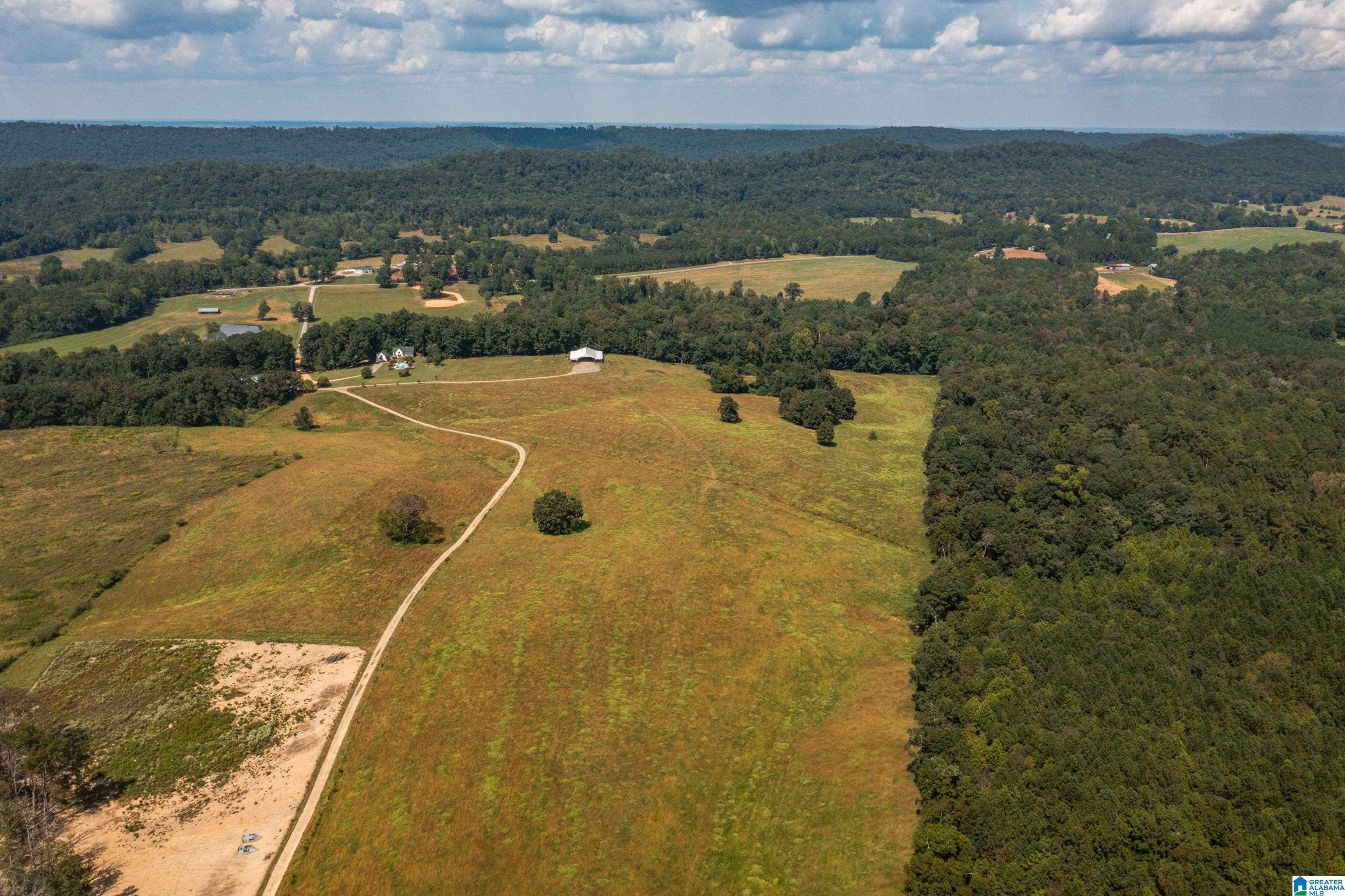3124 County Road 39 Oneonta, AL 35121 - Photo 93 of 98