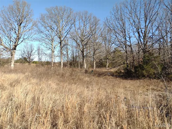 $63,000 | 6245 Private Dr 6245, Edgar Springs, MO 65462