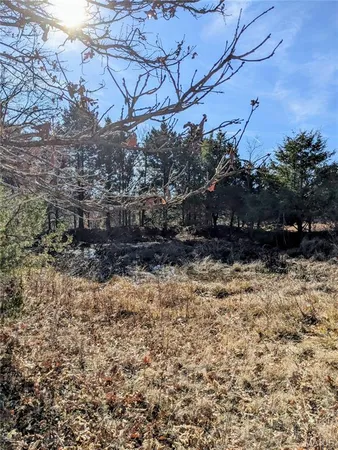 $63,000 | 6245 Private Dr 6245, Edgar Springs, MO 65462
