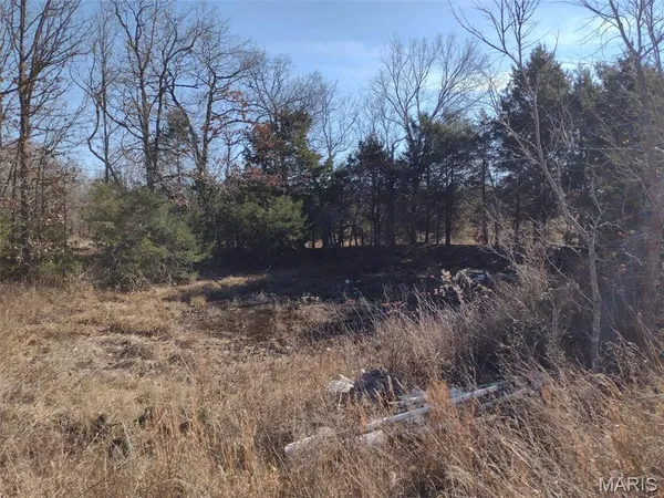 $63,000 | 6245 Private Dr 6245, Edgar Springs, MO 65462