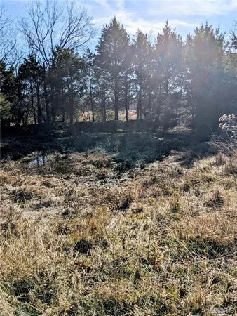 $63,000 | 6245 Private Dr 6245, Edgar Springs, MO 65462