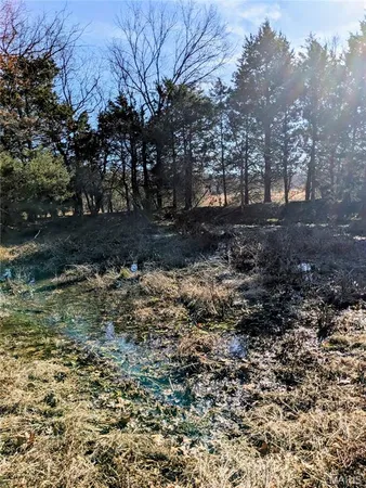 $63,000 | 6245 Private Dr 6245, Edgar Springs, MO 65462