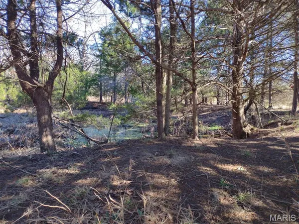 $63,000 | 6245 Private Dr 6245, Edgar Springs, MO 65462