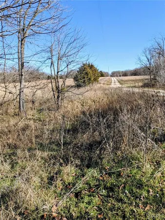 $63,000 | 6245 Private Dr 6245, Edgar Springs, MO 65462