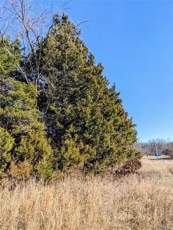 $63,000 | 6245 Private Dr 6245, Edgar Springs, MO 65462