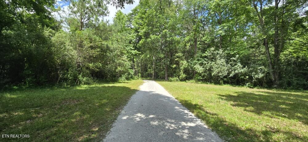 350 Rector Lane Helenwood, TN 37755 - Photo 7 of 21 20260616_144243