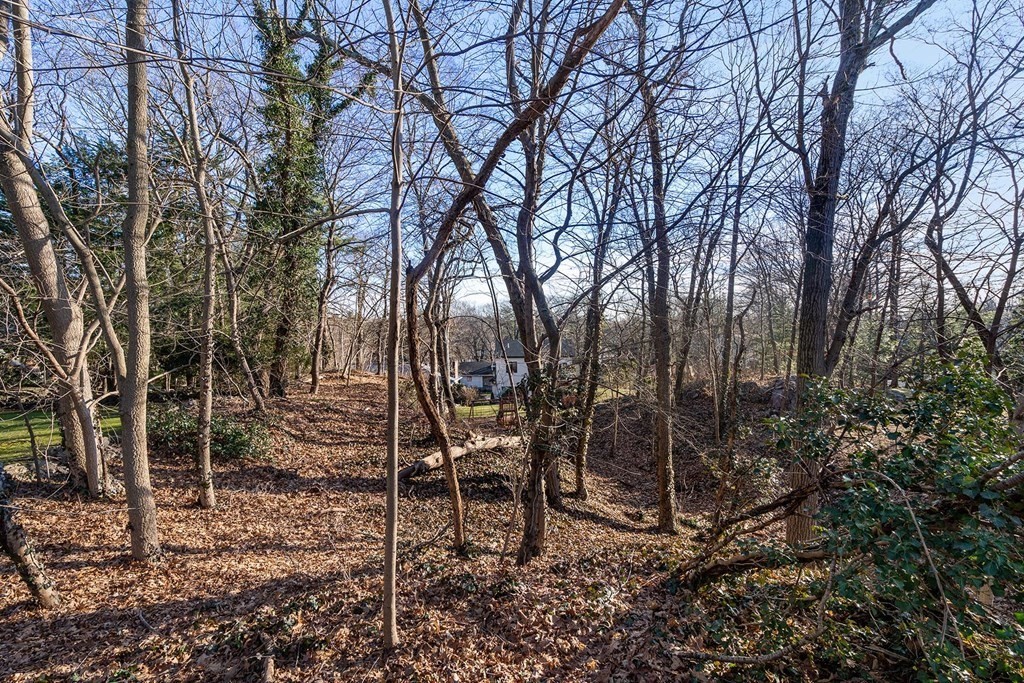 34 Bellingham Road Brookline, MA 02467 - Photo 8 of 33 a backyard of a house with lots of green space