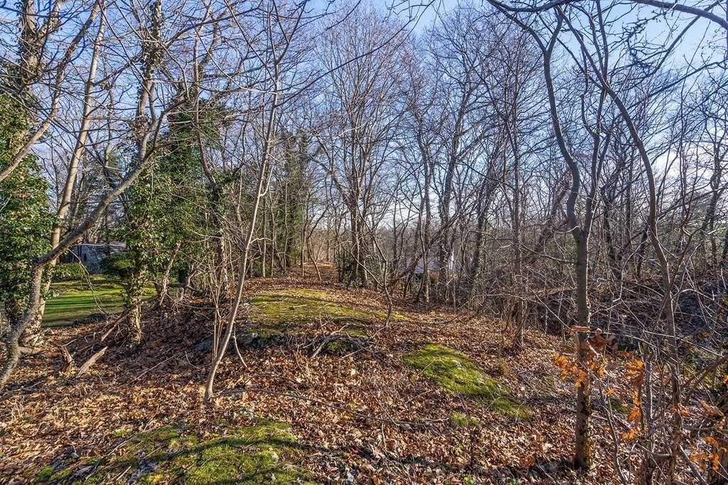 34 Bellingham Road Brookline, MA 02467 - Photo 10 of 33 a backyard of a house with lots of green space