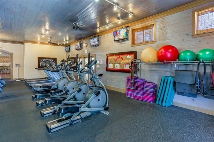 15 White Meadow Court Spring, TX 77379 - Photo 28 of 43 Fitness center + more equipment and personal trainer available