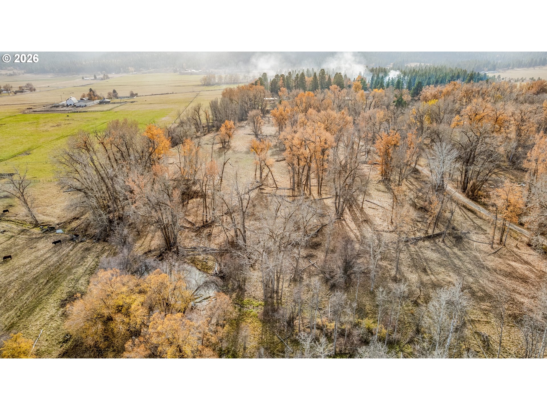 0 Pocahontas Road Baker City, OR 97814 - Photo 12 of 38 a black and white photo of a beach