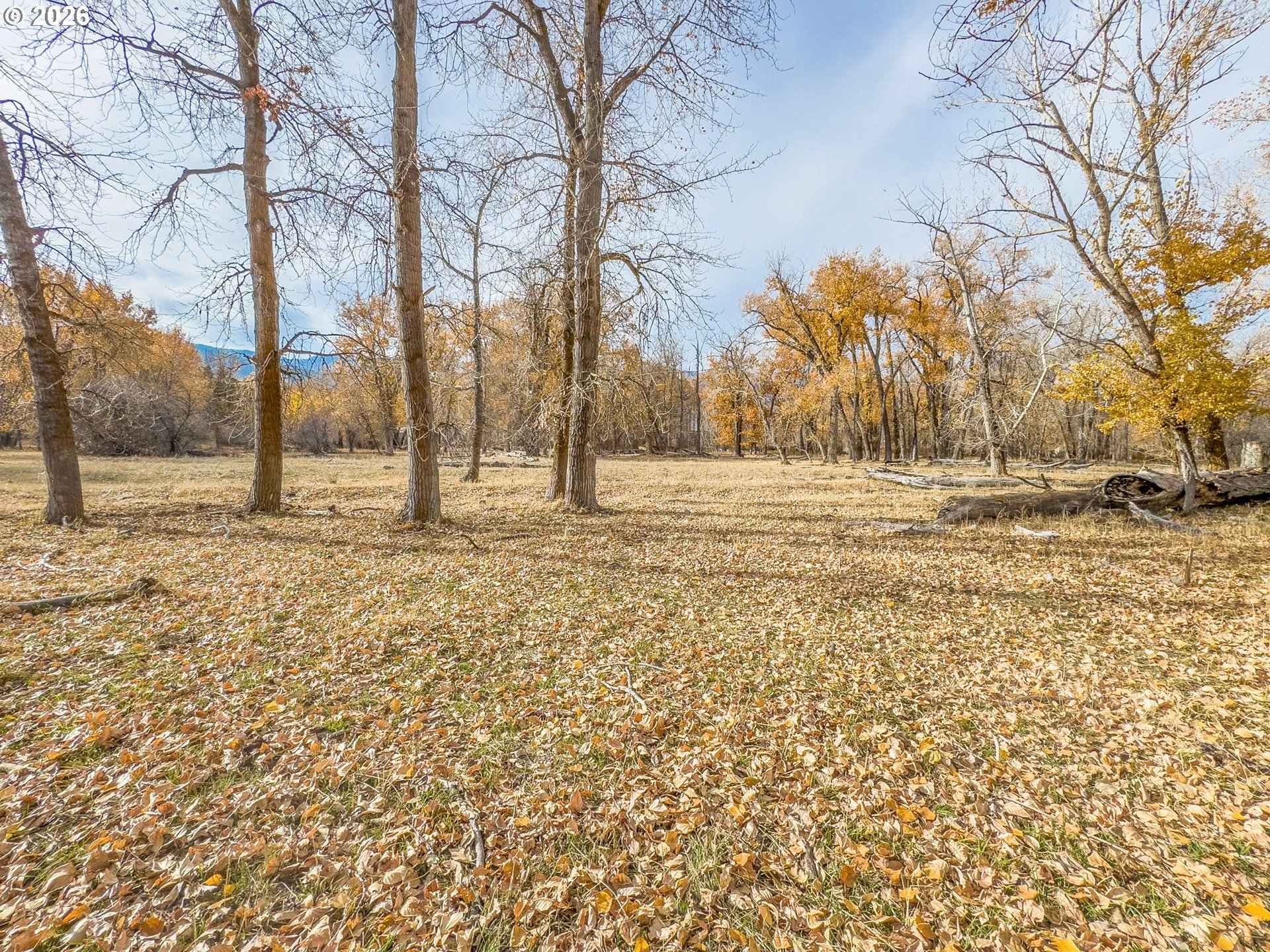 0 Pocahontas Road Baker City, OR 97814 - Photo 13 of 38 a view of empty space with tree s