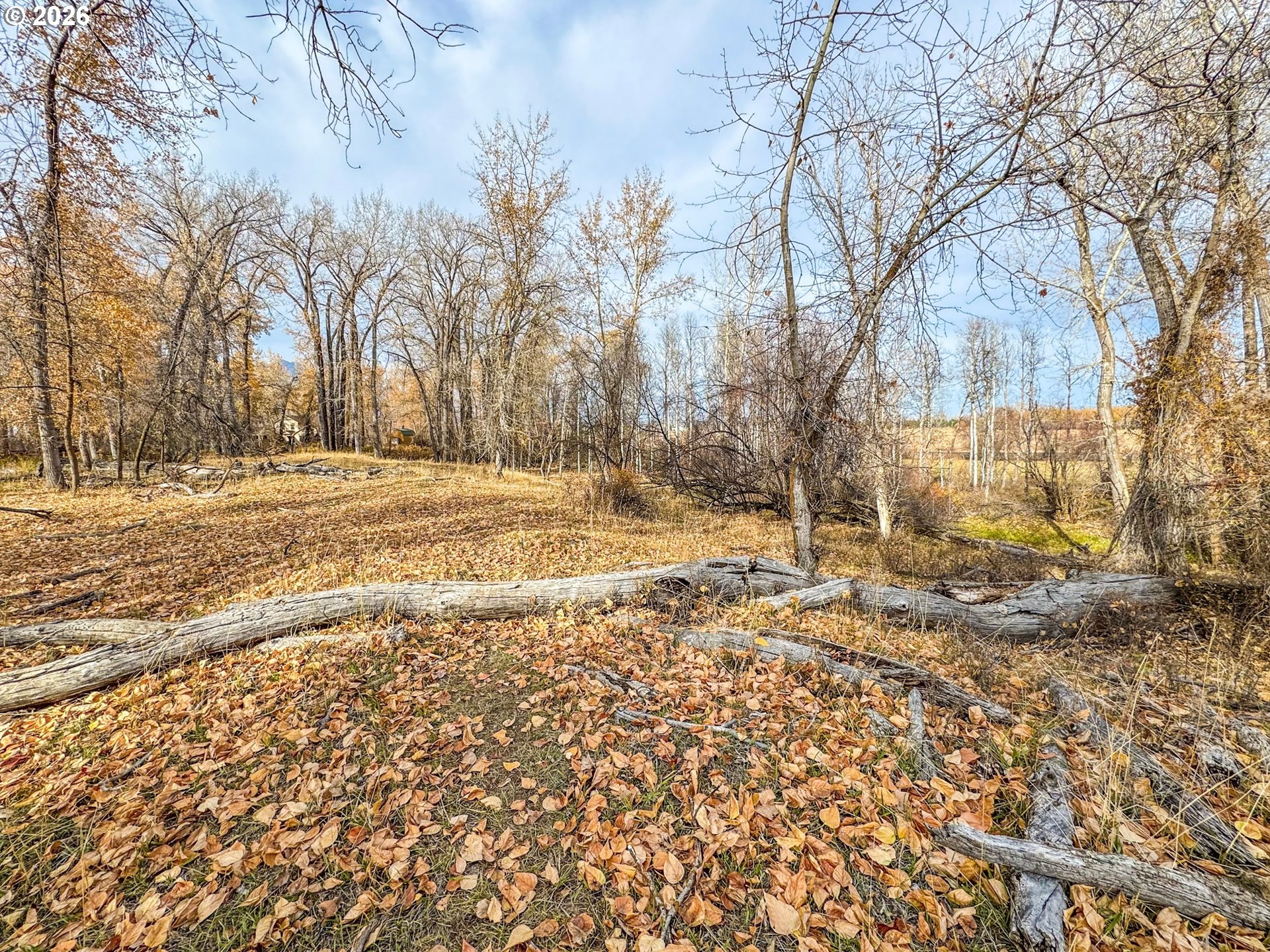 0 Pocahontas Road Baker City, OR 97814 - Photo 14 of 38 a view of a yard with trees