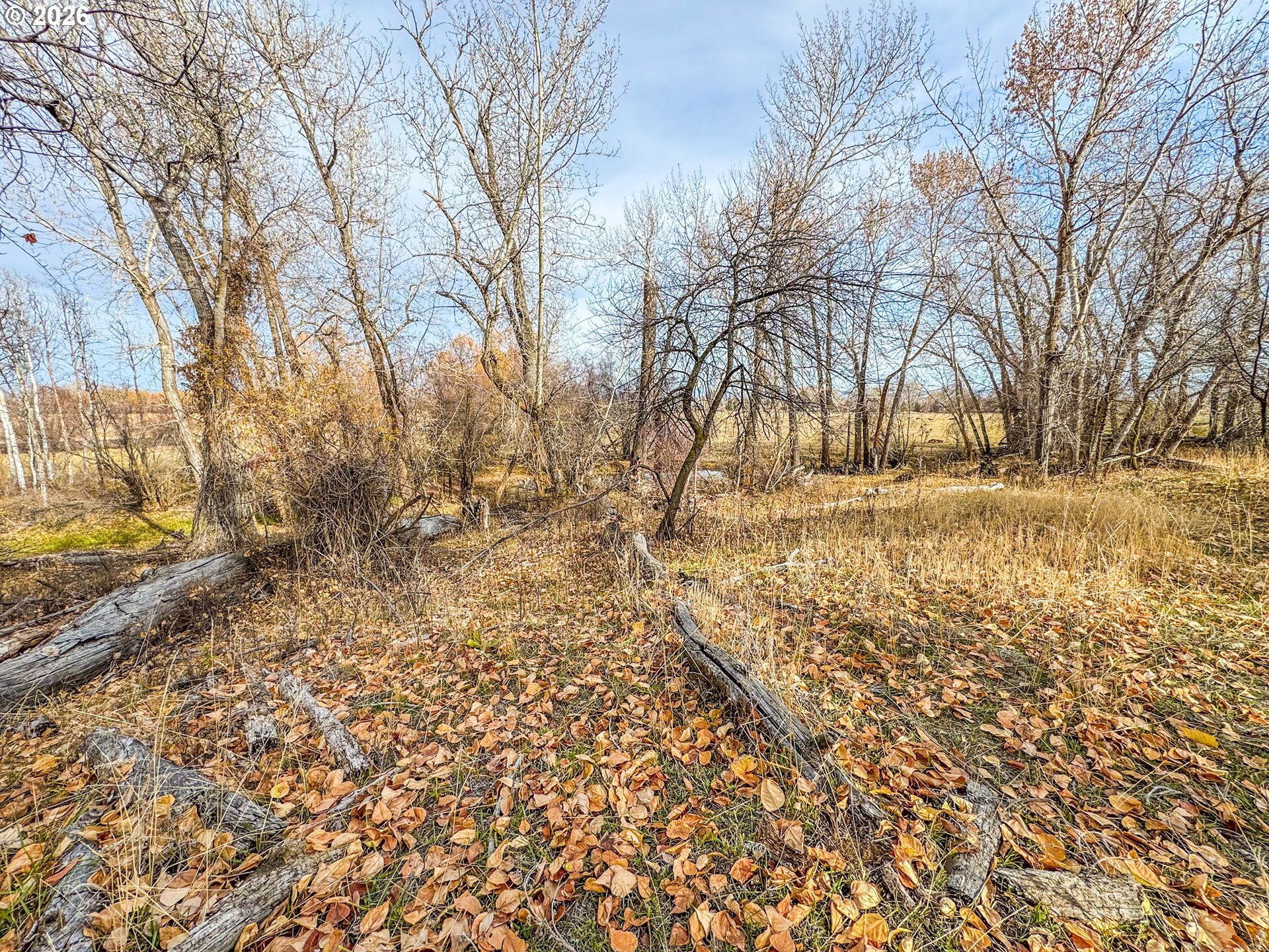 0 Pocahontas Road Baker City, OR 97814 - Photo 15 of 38 a backyard of a house with large trees