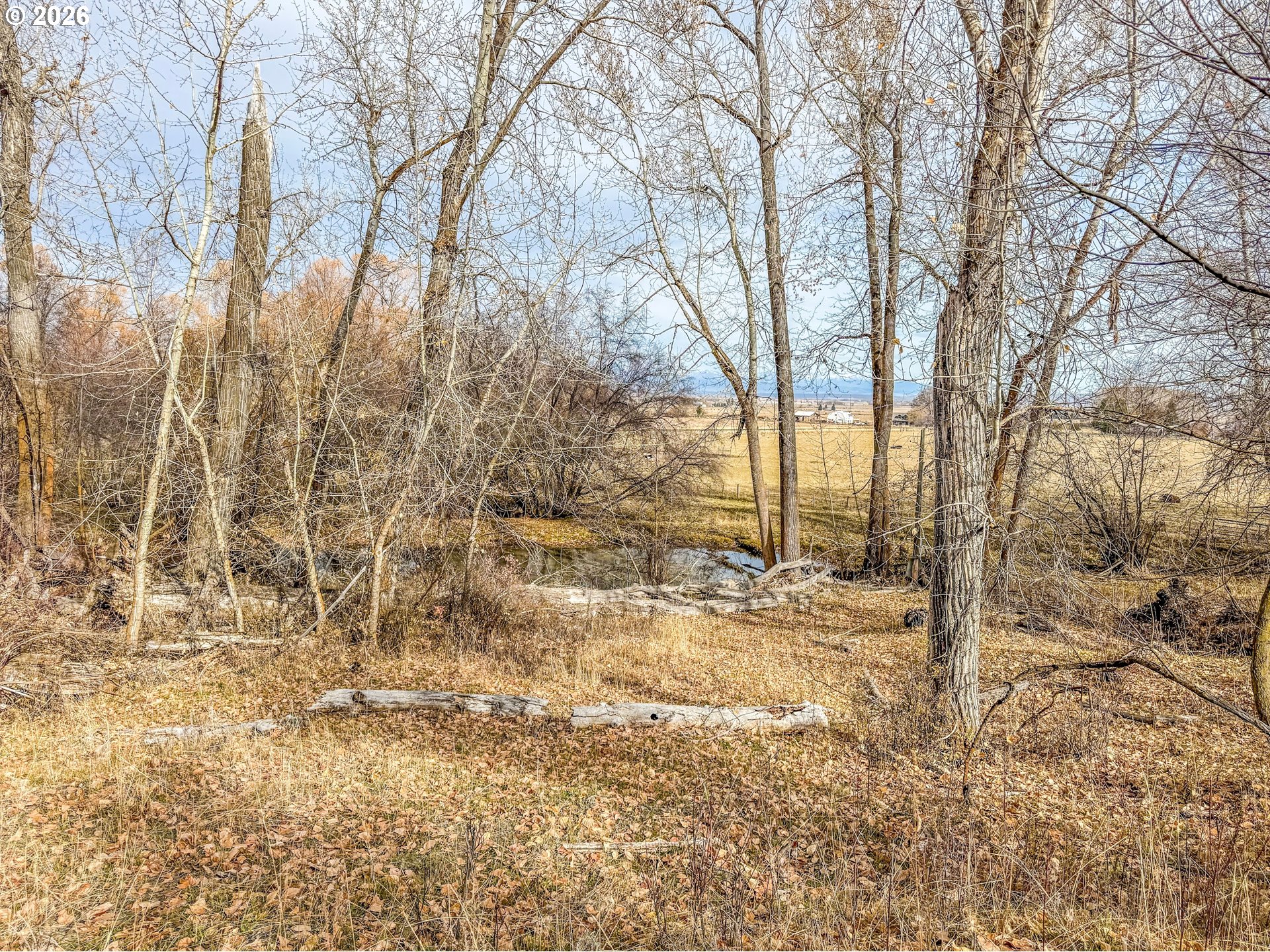 0 Pocahontas Road Baker City, OR 97814 - Photo 16 of 38 a backyard of a building