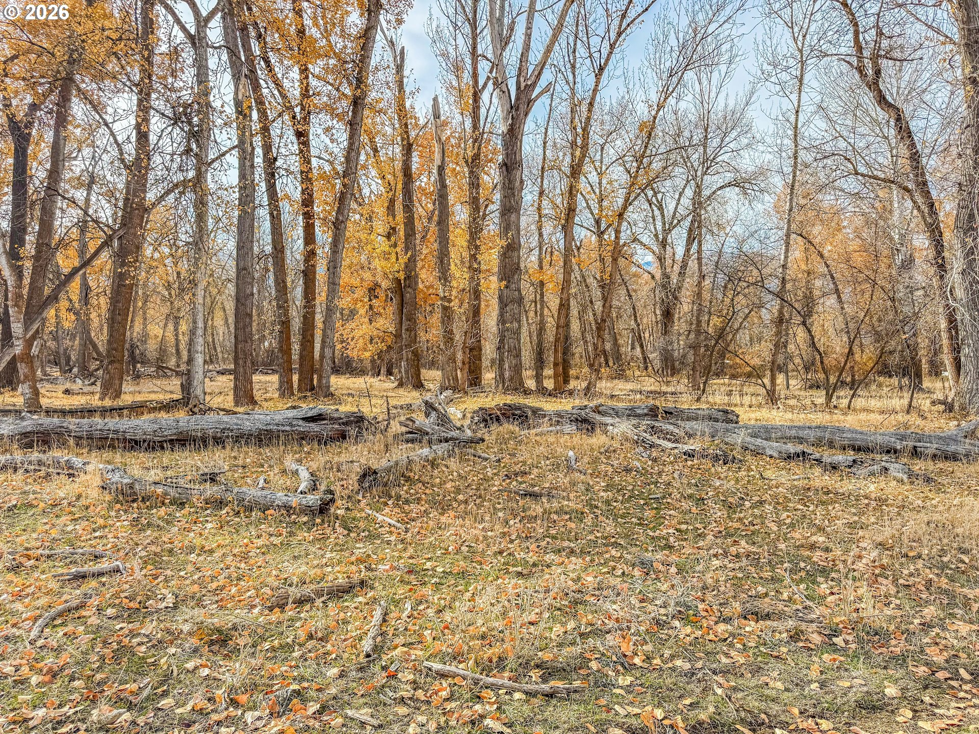 0 Pocahontas Road Baker City, OR 97814 - Photo 17 of 38 a view of dirt field with trees