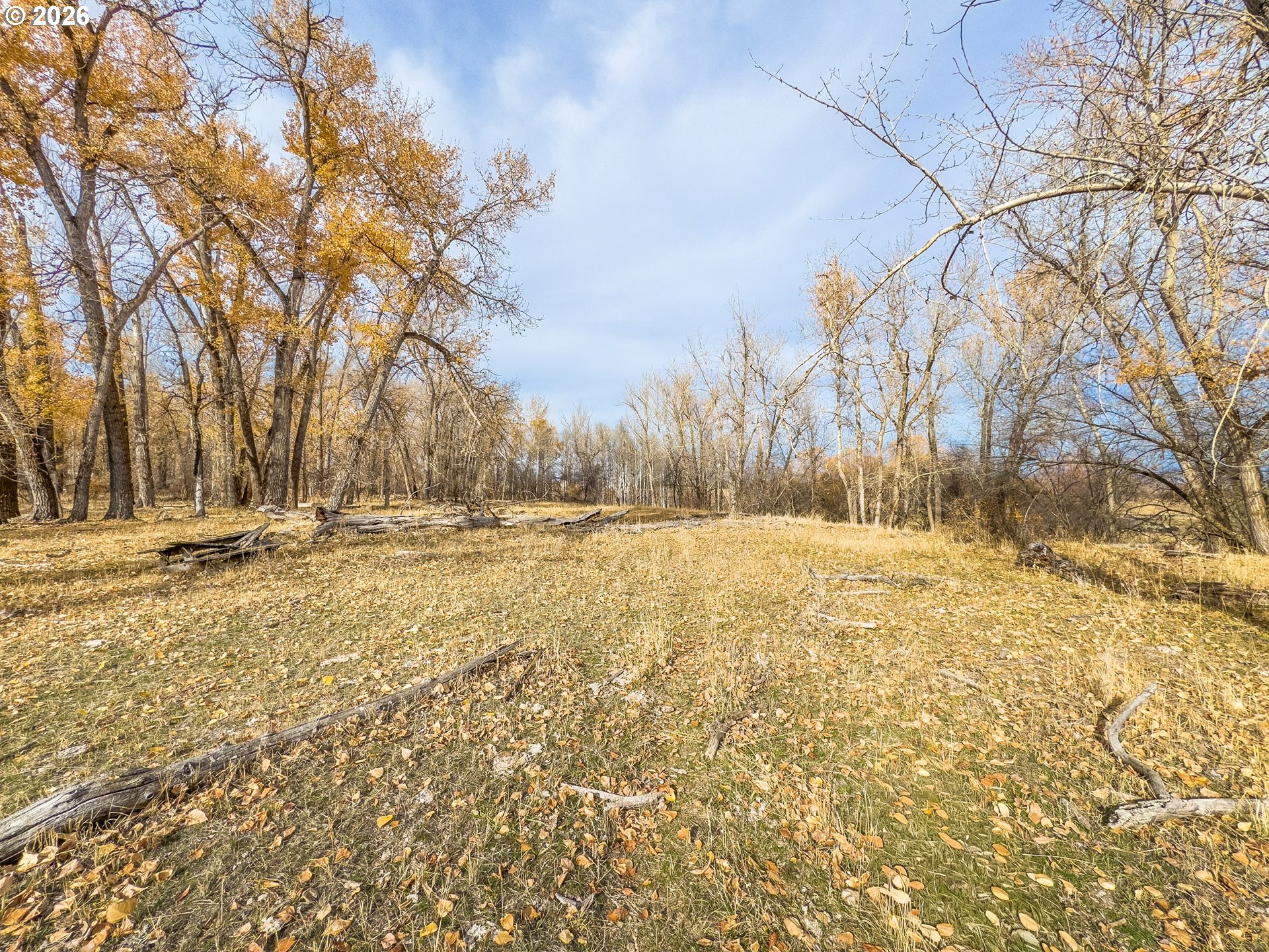 0 Pocahontas Road Baker City, OR 97814 - Photo 22 of 38 a view of yard covered with snow