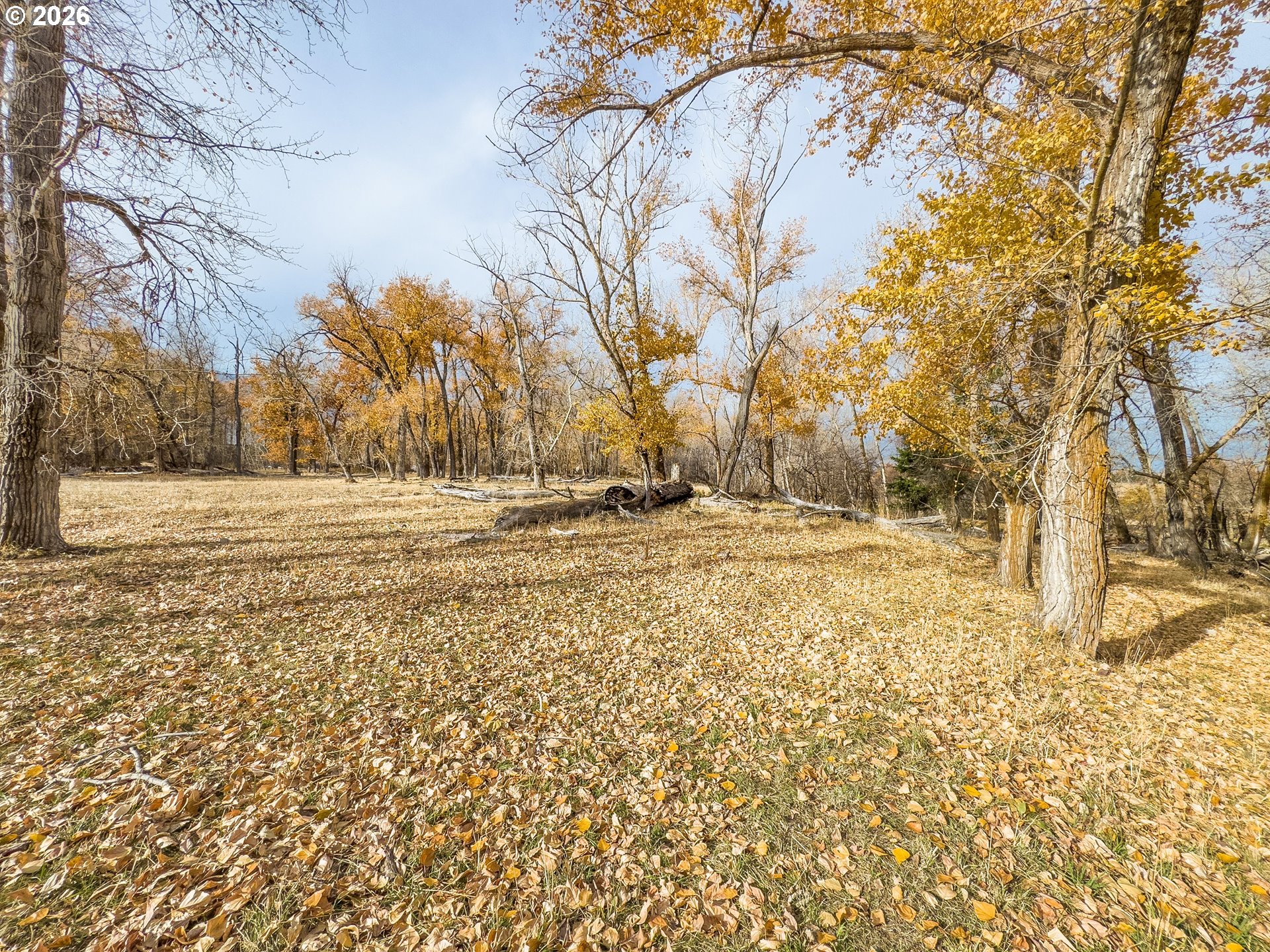 0 Pocahontas Road Baker City, OR 97814 - Photo 23 of 38