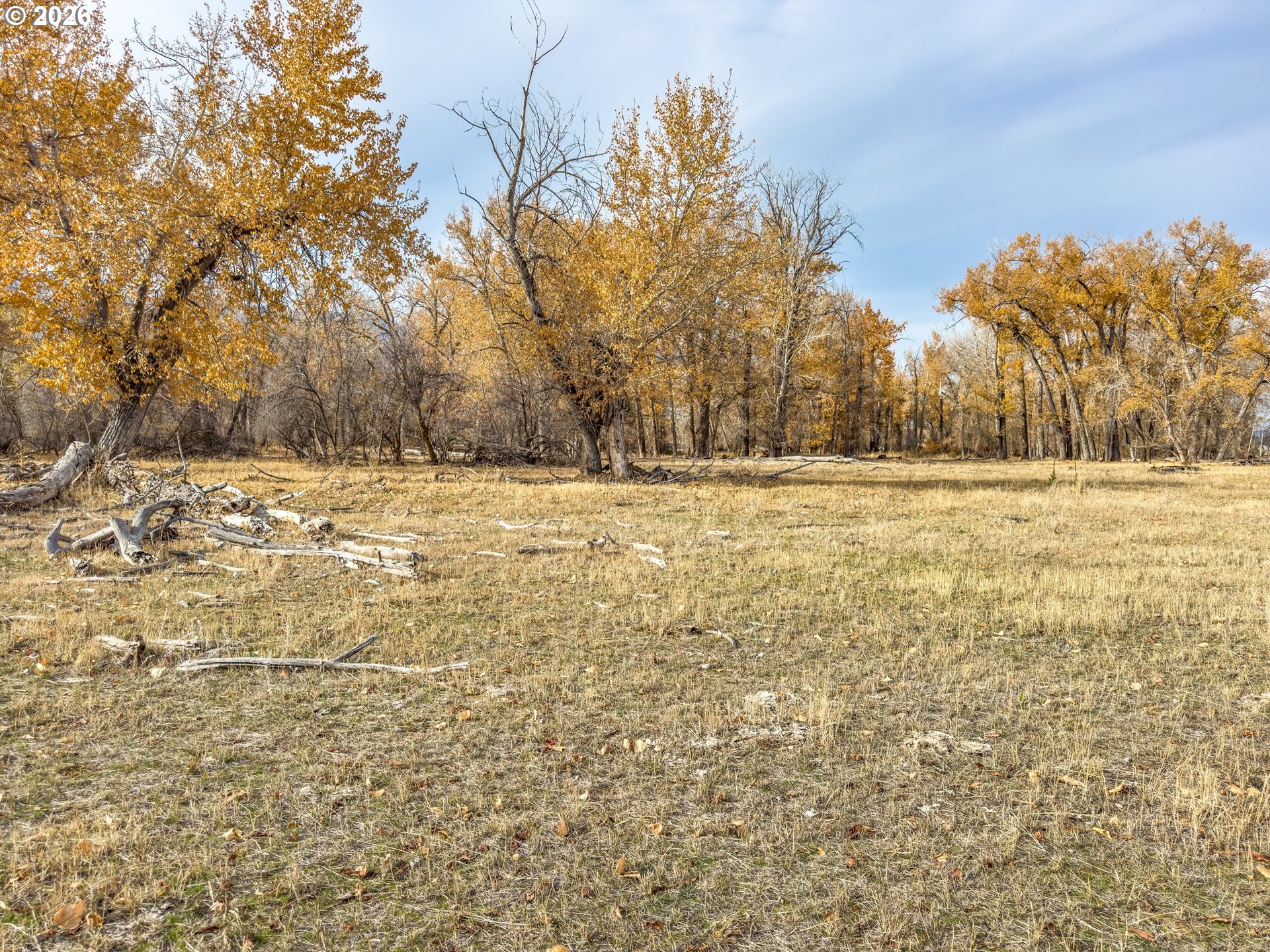 0 Pocahontas Road Baker City, OR 97814 - Photo 27 of 38 a view of a yard with a tree