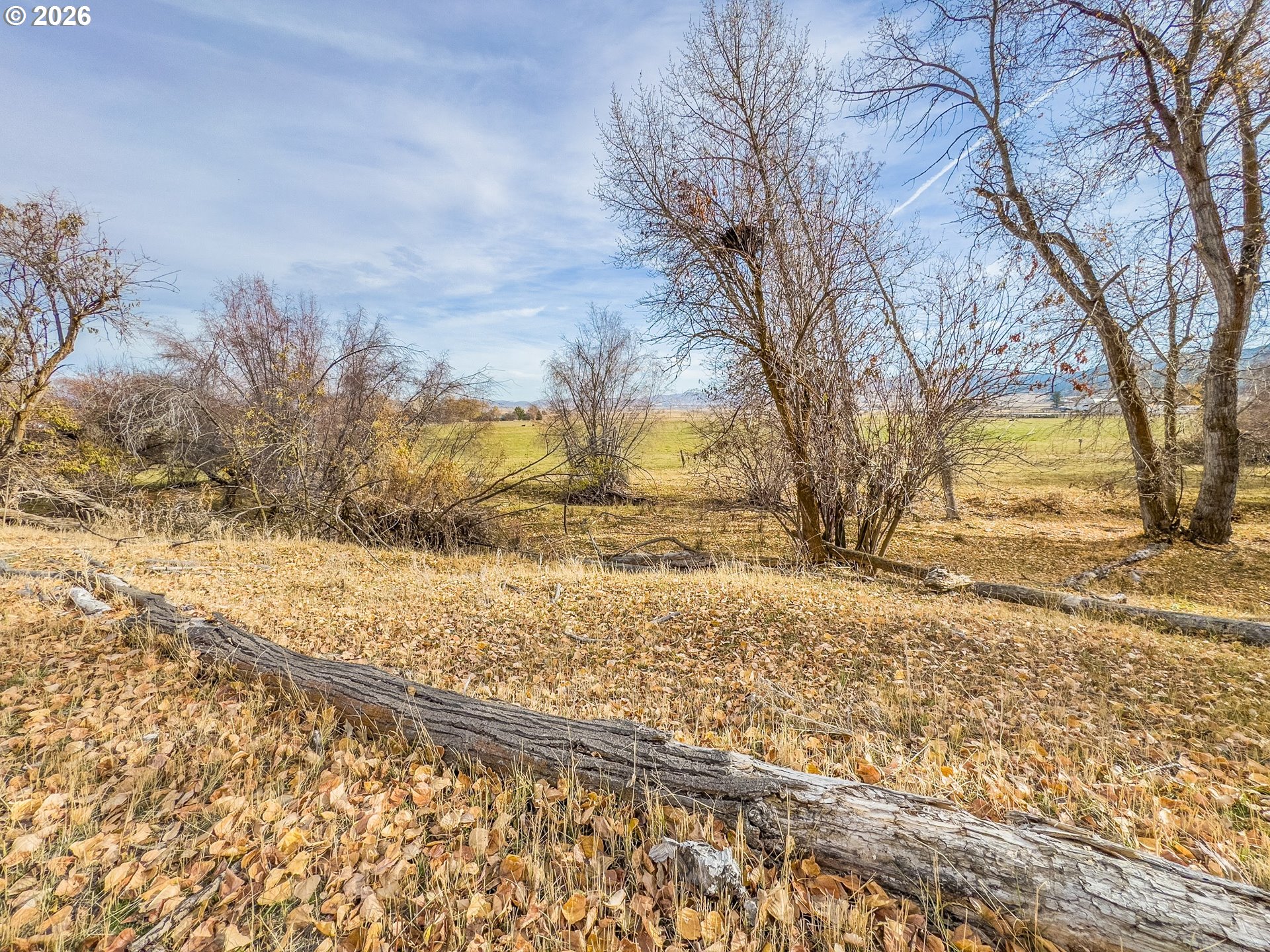 0 Pocahontas Road Baker City, OR 97814 - Photo 30 of 38 a view of yard covered with snow in front of house
