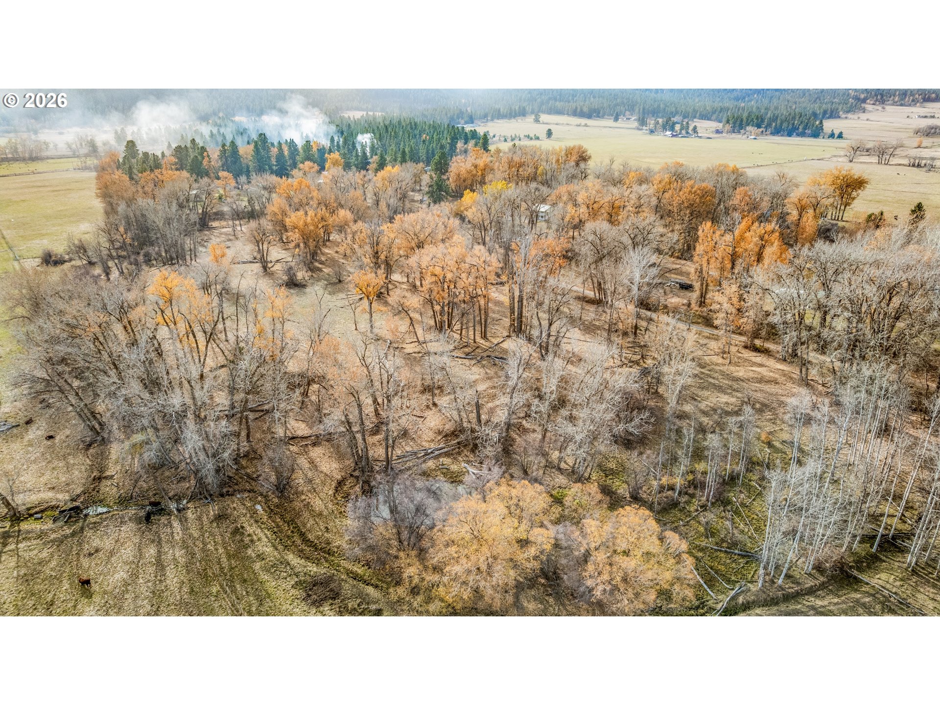0 Pocahontas Road Baker City, OR 97814 - Photo 3 of 38 a black and white photo of a lake