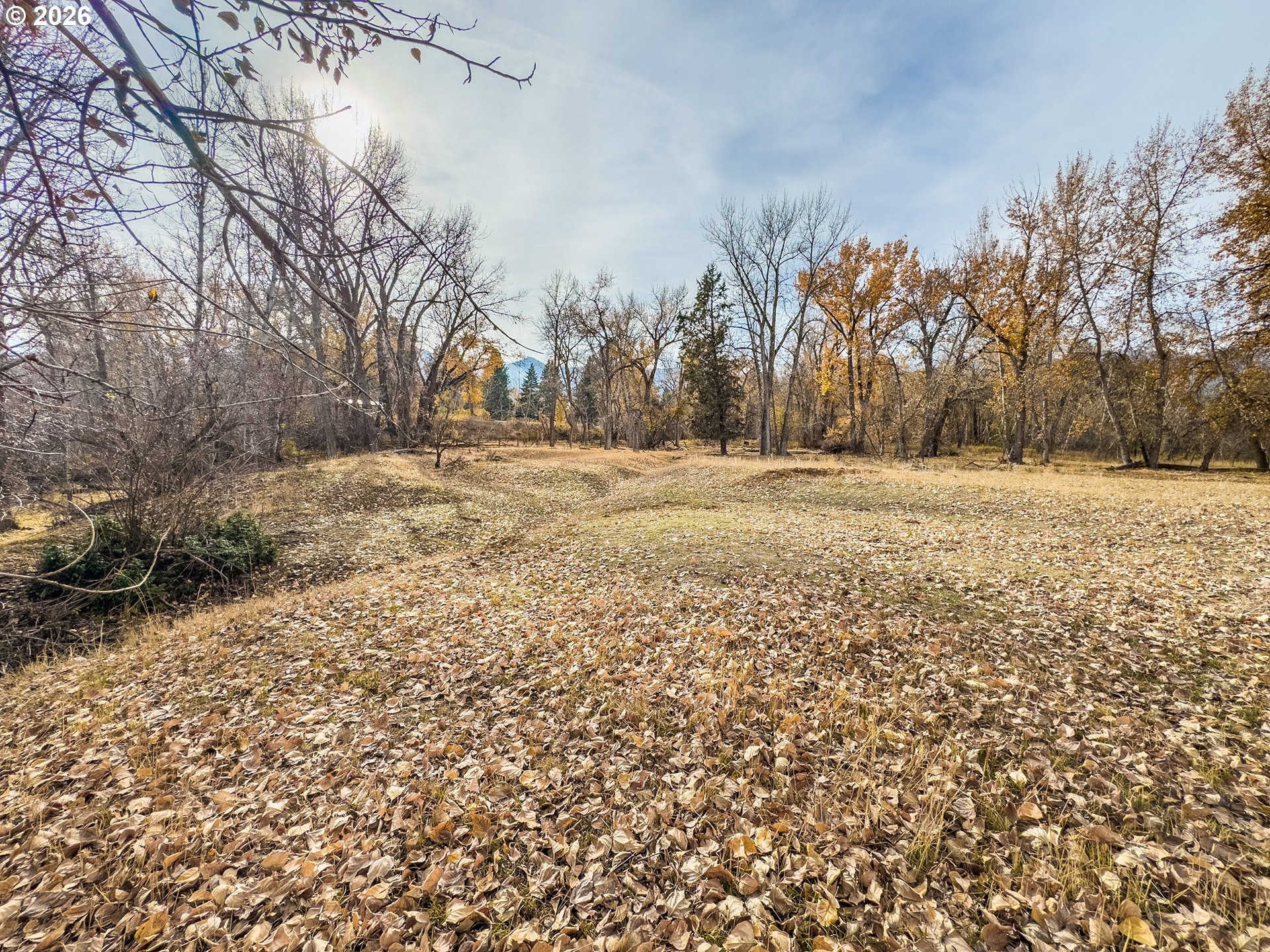 0 Pocahontas Road Baker City, OR 97814 - Photo 31 of 38 a view of dirt yard with a large tree
