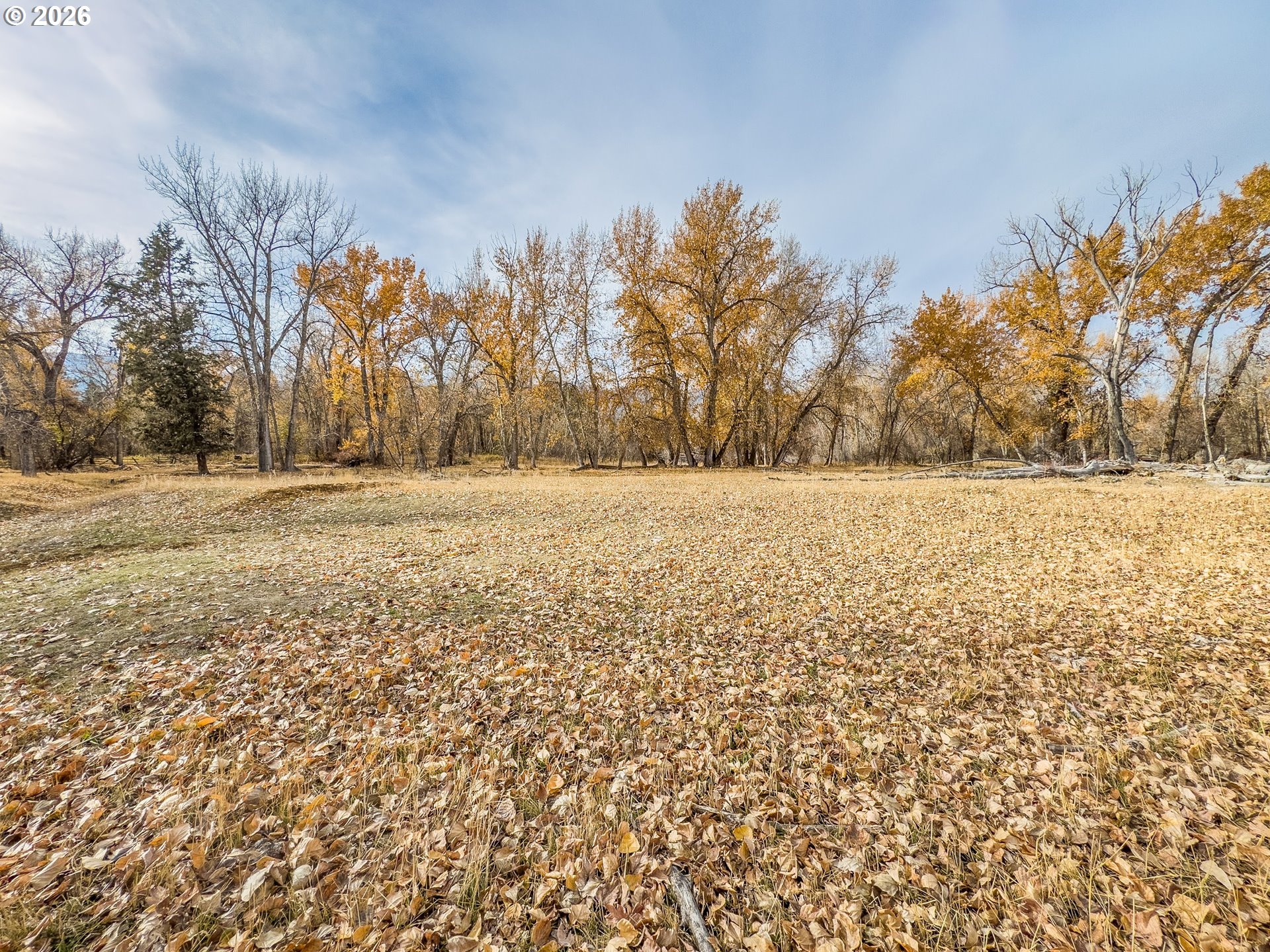 0 Pocahontas Road Baker City, OR 97814 - Photo 32 of 38 a view of yard with trees
