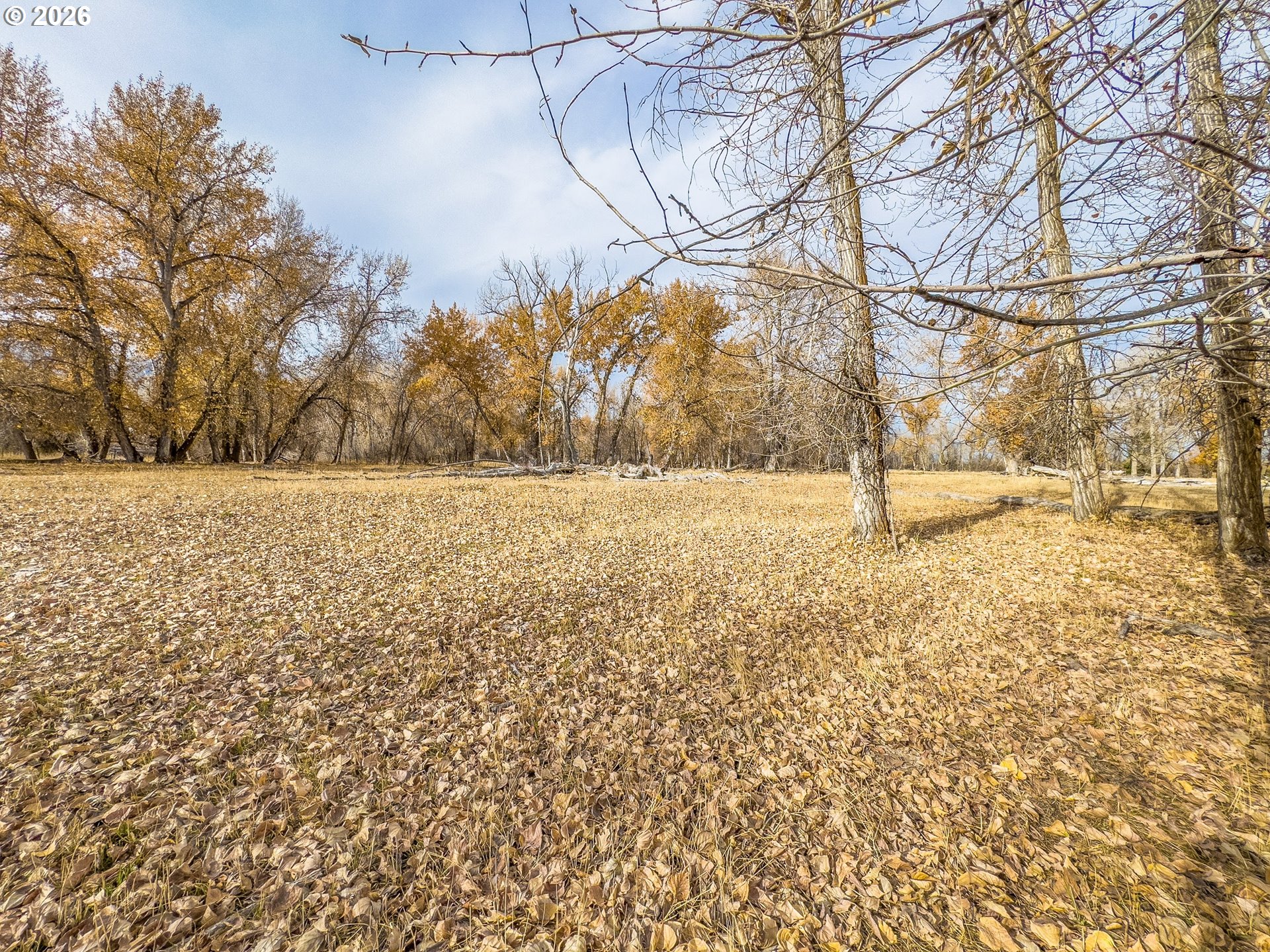 0 Pocahontas Road Baker City, OR 97814 - Photo 33 of 38 a view of yard with trees