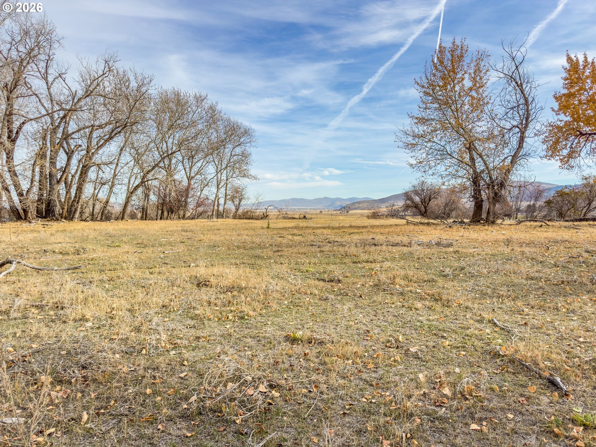 0 Pocahontas Road Baker City, OR 97814 - Photo 35 of 38 a view of yard with trees