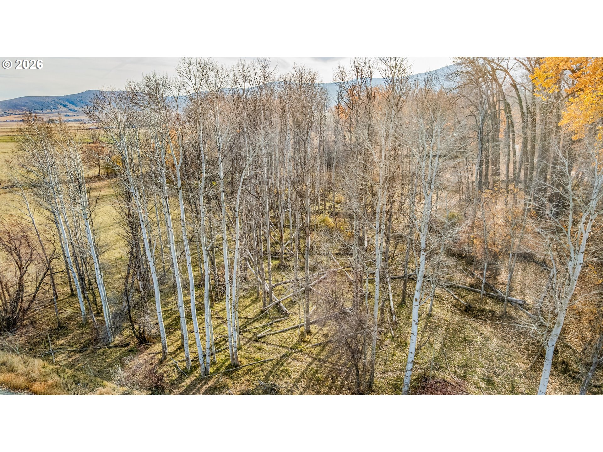 0 Pocahontas Road Baker City, OR 97814 - Photo 10 of 38 a black and white photo of a house