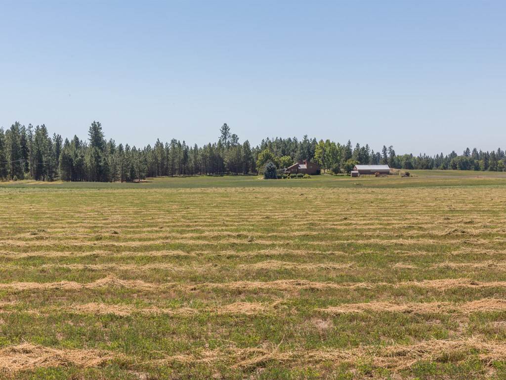 32405 North Division Road Deer Park, WA 99006 - Photo 4 of 13 Gallery Image 4