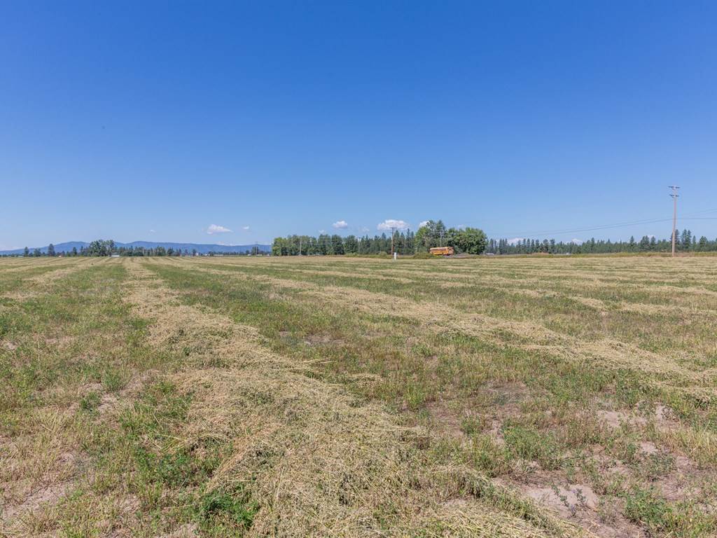 32405 North Division Road Deer Park, WA 99006 - Photo 5 of 13 Gallery Image 5
